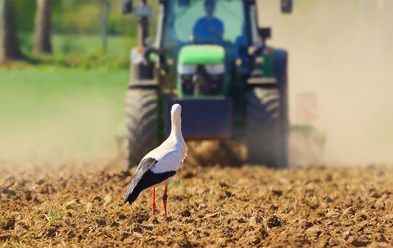 Аграрії Прикарпаття продовжують посів ярих культур