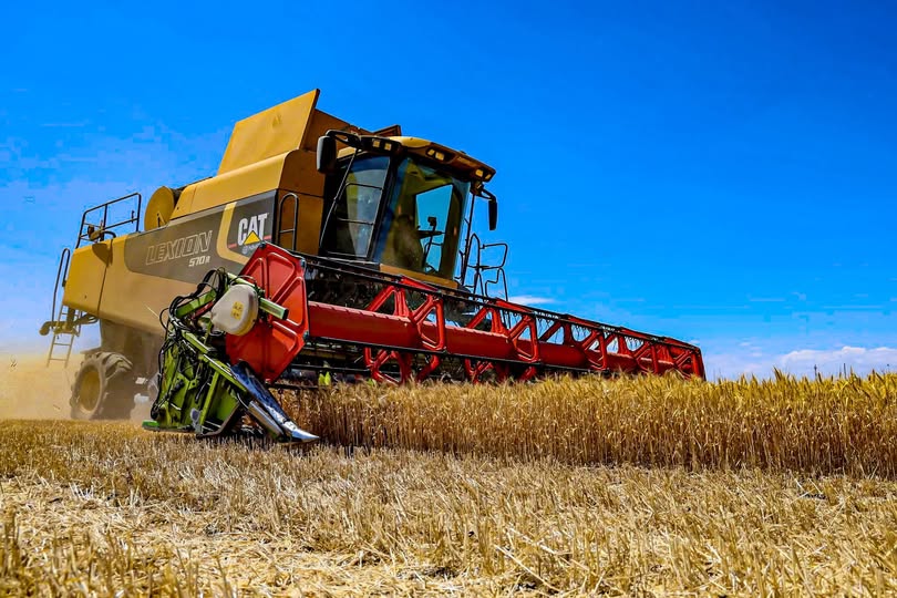 Аграрії Прикарпаття зібрали понад 550 тис. тонн зерна, триває посів озимих