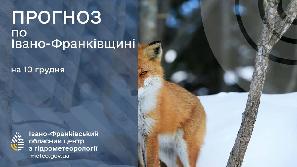 Прогноз погоди по Івано-Франківську та області на 10 грудня 2025 року