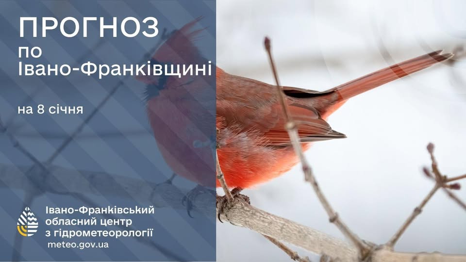 Прогноз погоди по Івано-Франківську та області на 08 січня 2026
