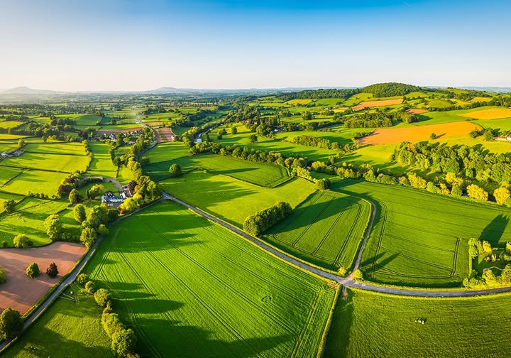 Можливості для агробізнесу Івано-Франківщини: інтеграція до ринку ЄС