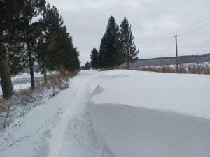 Городенківщина: внаслідок сильного снігопаду та хуртовини, без електропостачання тимчасово залишилися села Лука, Уніж та Монастирок