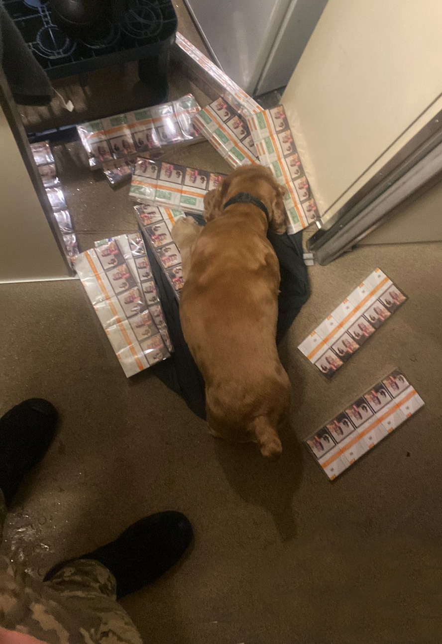 На кордоні з Польщею прикордонники виявили партію контрабандного тютюну в пасажирському потязі