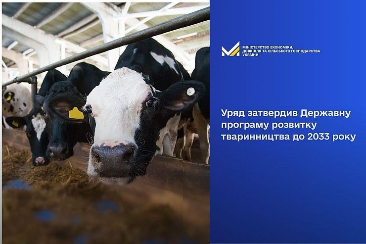 Уряд затвердив Державну цільову економічну програму розвитку тваринництва на період до 2033 року