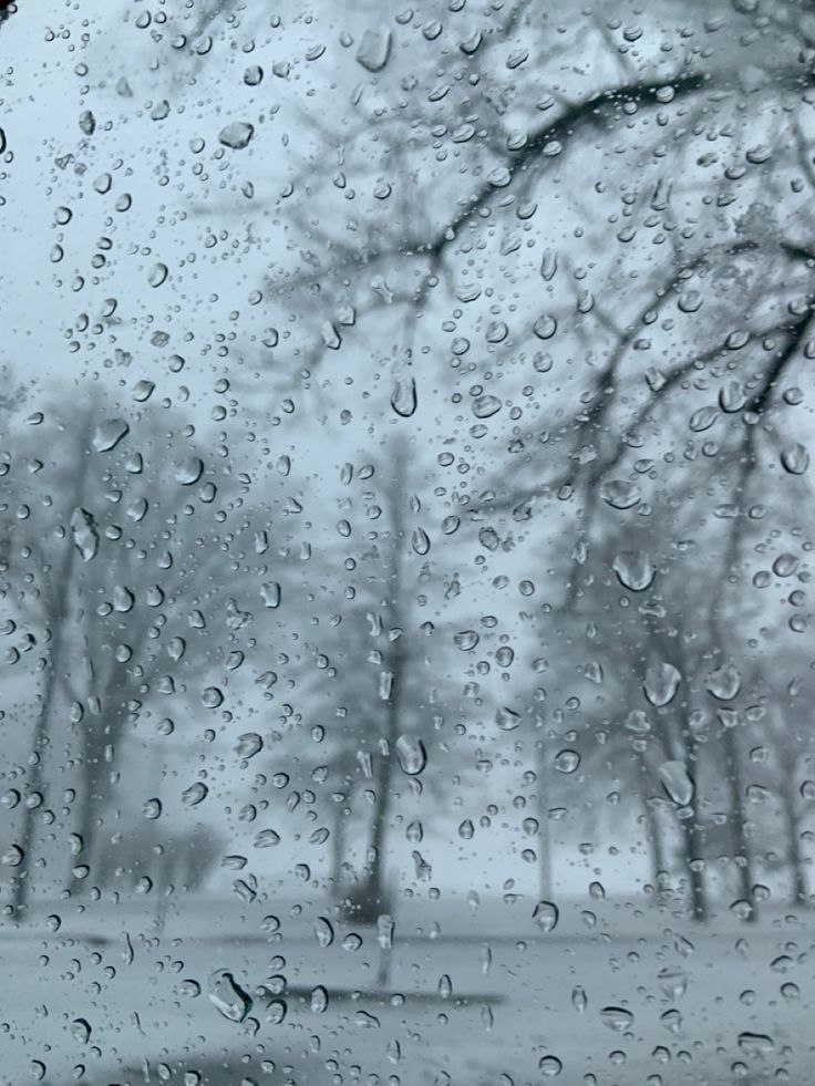 Прикарпаття готується до негоди: сніг із дощем, ожеледиця та пориви вітру до 20 м/с