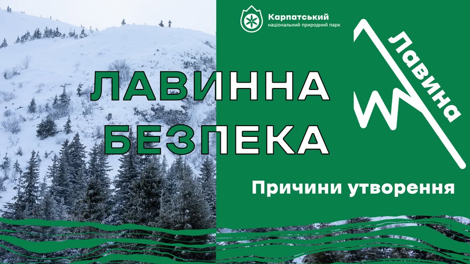 Біла смерть: експерти Карпатського НПП пояснили механізми та ризики утворення лавин