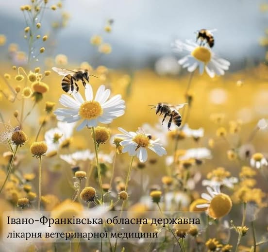 Весняна ревізія пасік на Прикарпатті: стан бджільництва під контролем ветеринарних фахівців