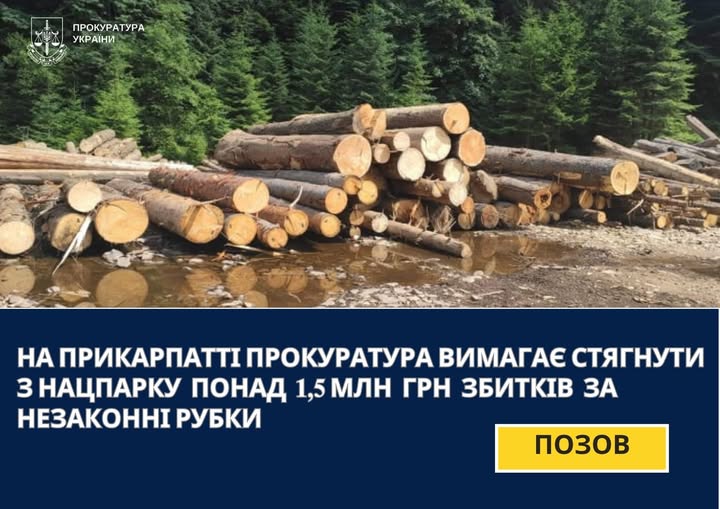 На Прикарпатті прокуратура вимагає стягнути з нацпарку  понад 1,5 млн грн збитків за незаконні рубки