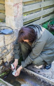 На варті чистої води: як Карпатський парк захищає річкові екосистеми