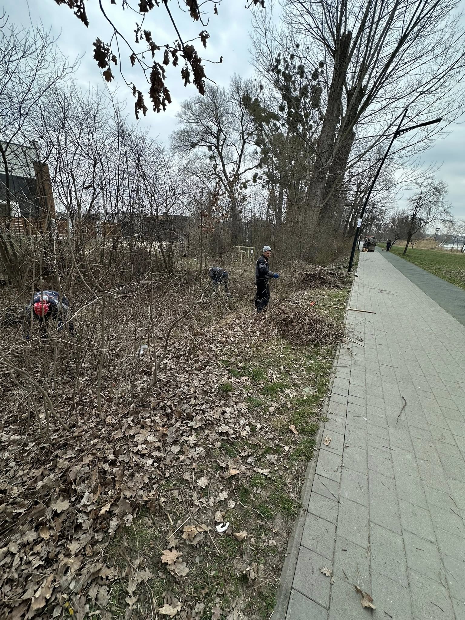 Франківські комунальники розпочали планову чистку схилів дамби міського озера