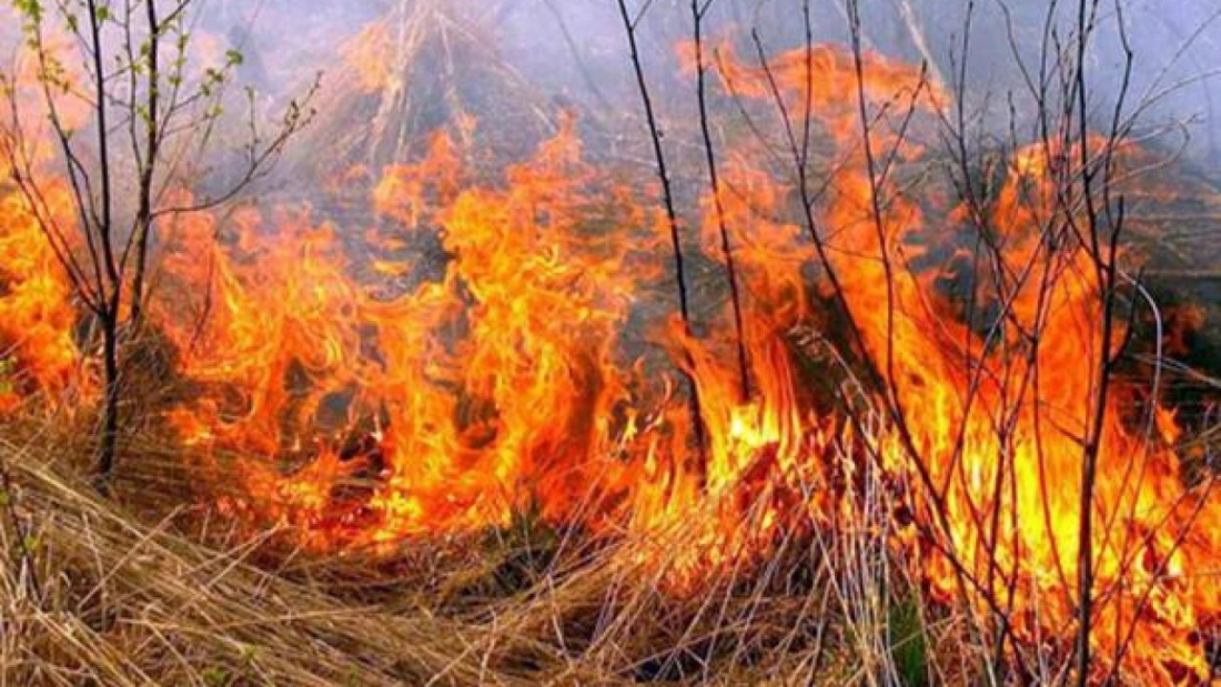 Рятувальники Прикарпаття застерігають від спалювання сухої трави